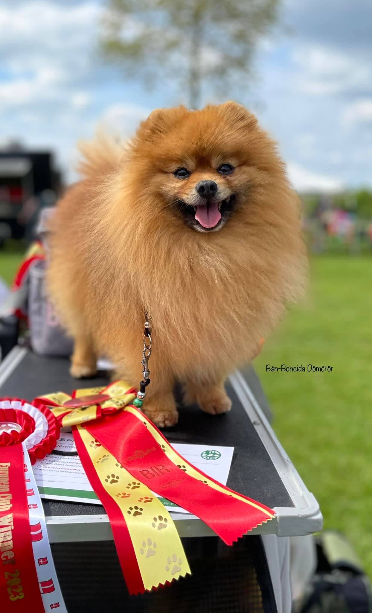 482065563_2538286763027688_4922856046541747188_n